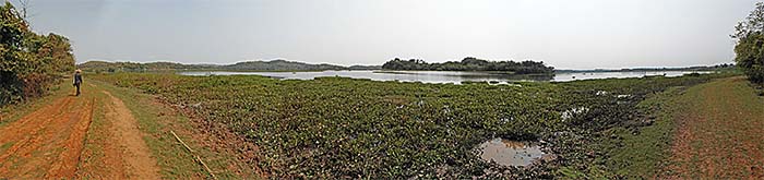 'The Chiang Saen Lakes | Yonok Wetlands' by Asienreisender